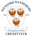 Wexford Wanderers Cricket Club logo