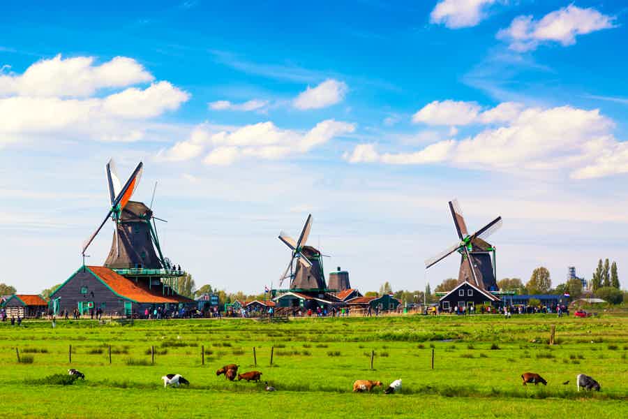 Zaanse Schans Windmills, Clogs and Dutch Cheese Small-Group Tour  - photo 2