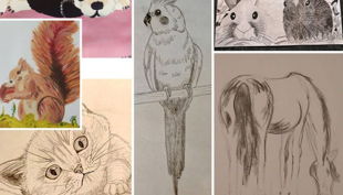 large cbaf cdefacbeabdbaadcdabbedcd