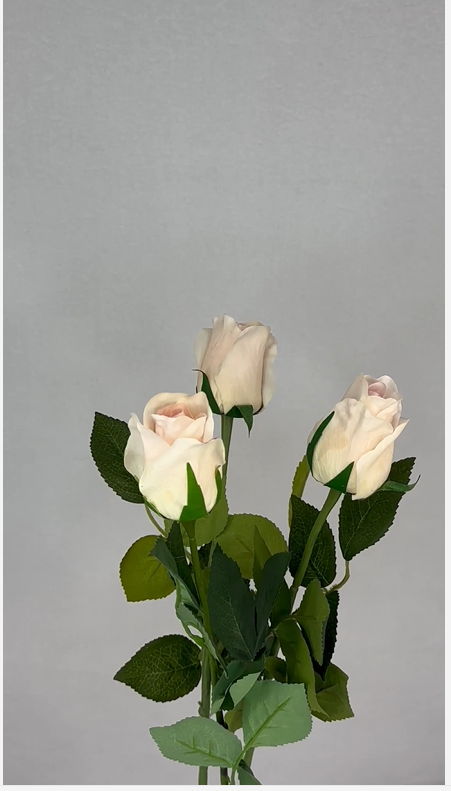 Light Pink Real Touch Open Bud Rose - Realistic Artificial Flowers - Image 4
