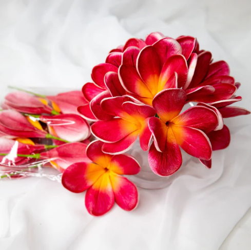 Passion Frangipani Flowerhead ( 6 Pack ) - Realistic Artificial Flowers - Image 2