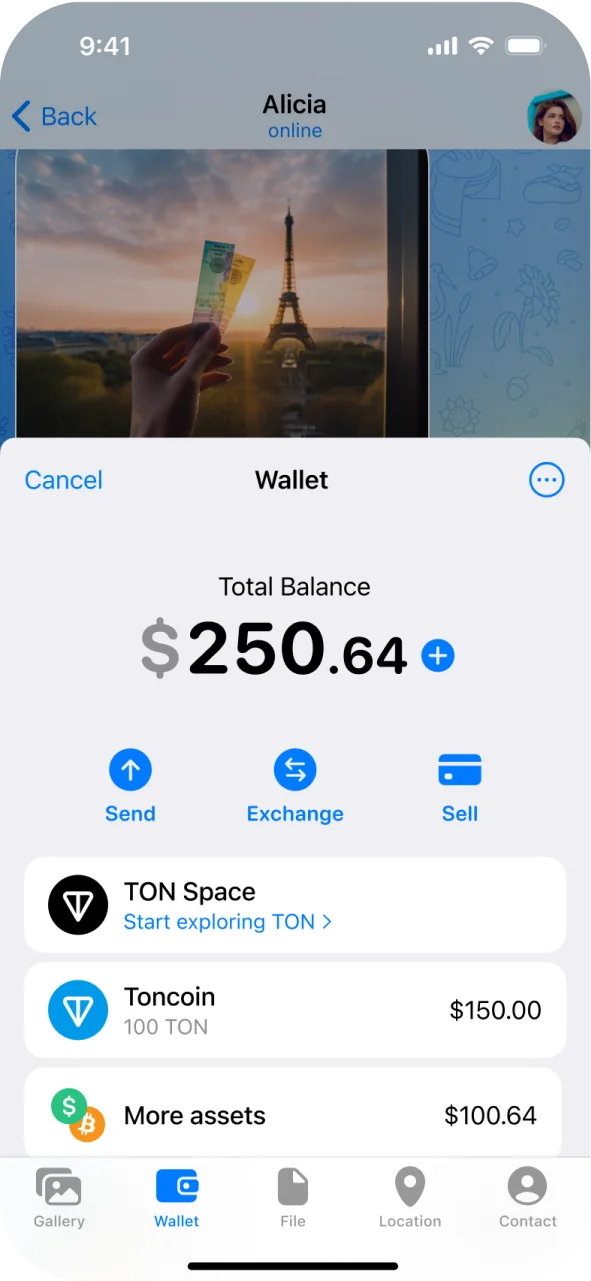 Ton Space Wallet