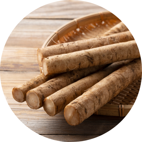 Burdock Root Extract