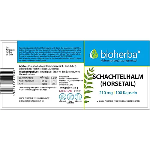 Schachtelhalm Horsetail 210 mg 100 Kapseln