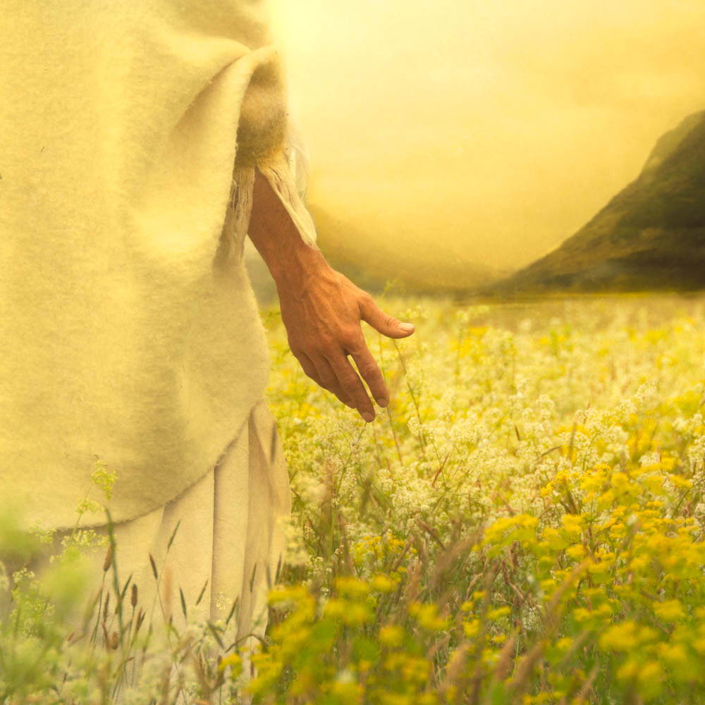 Jesus walking through a field of lilies, His hand reached out to touch them. 