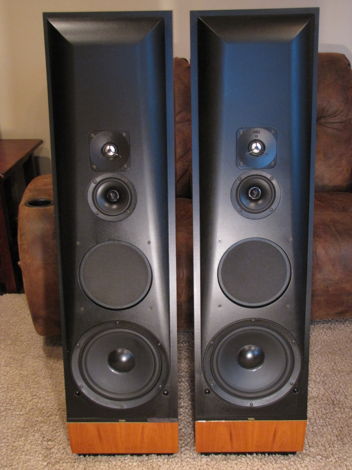 THIEL Audio CS-3.6 Loudspeakers (Stereophile Speaker of...