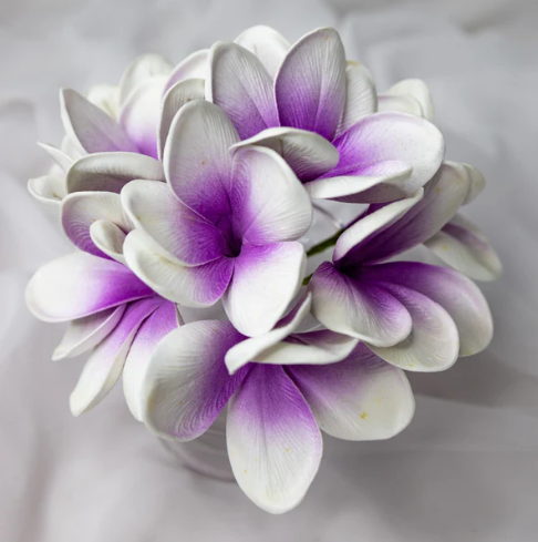 Picasso Frangipani Flowerhead ( 6 Pack ) - Realistic Artificial Flowers - Image 4