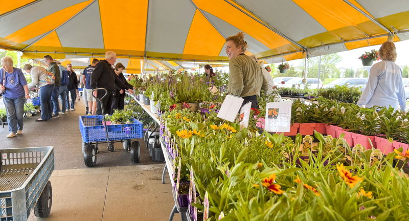 Spring Plant Sale