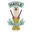 Hayle Cricket Club logo