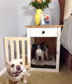 DIY nighstand dog crate