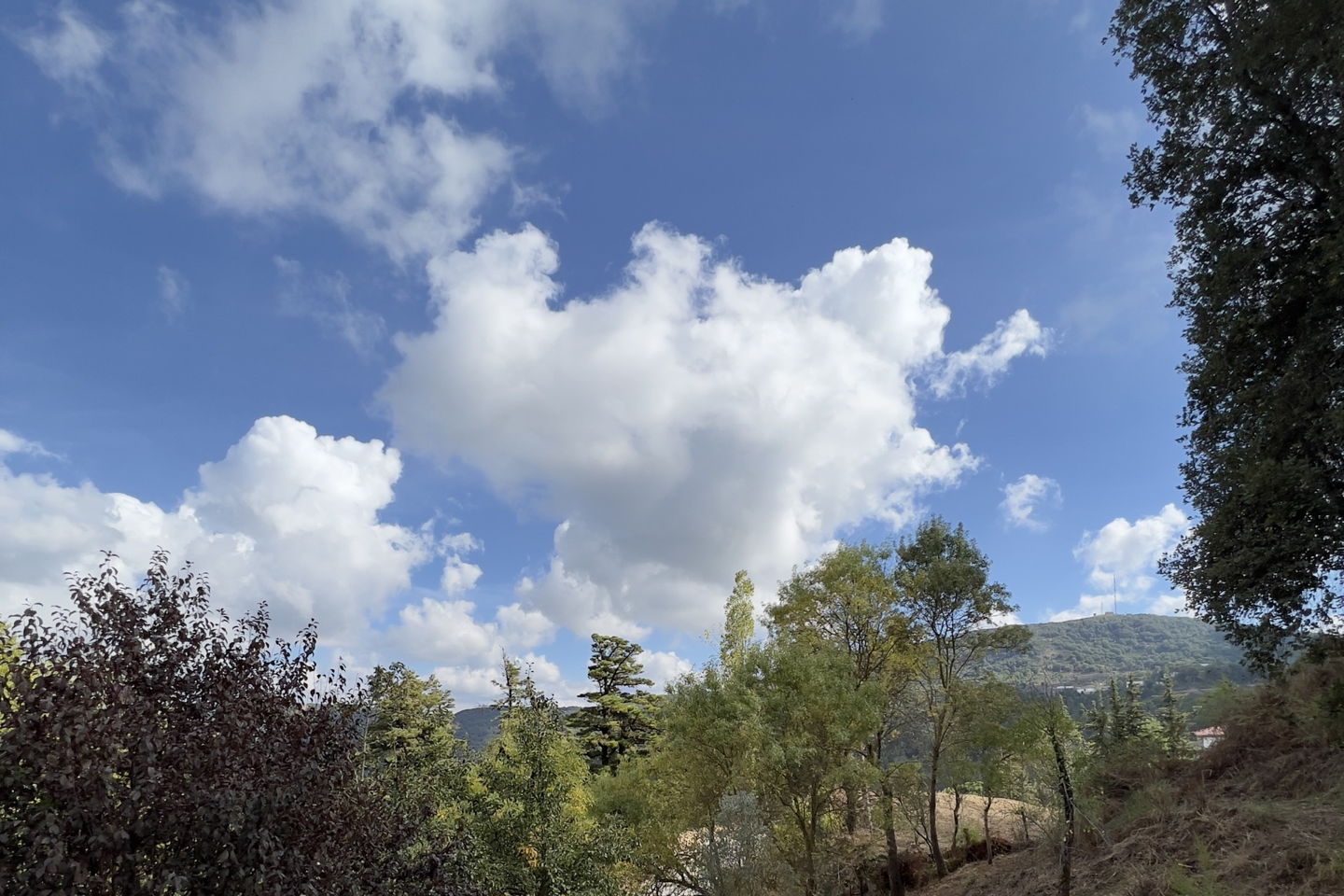 slider-image
