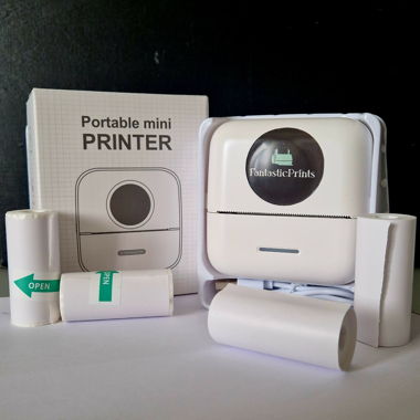 Mini Drucker - FantasticPritns