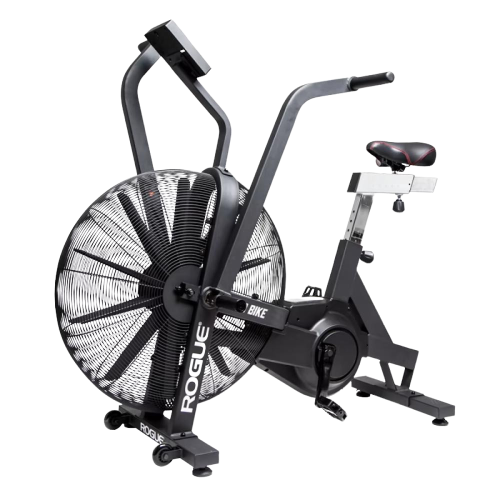 Rogue Echo Bike
