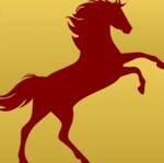 Golden Grove Cricket Club Logo