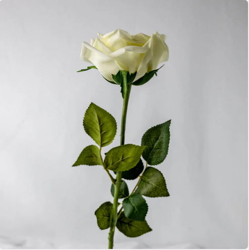 Off White Natural Real Touch Rose - Realistic Artificial Flowers - Image 3