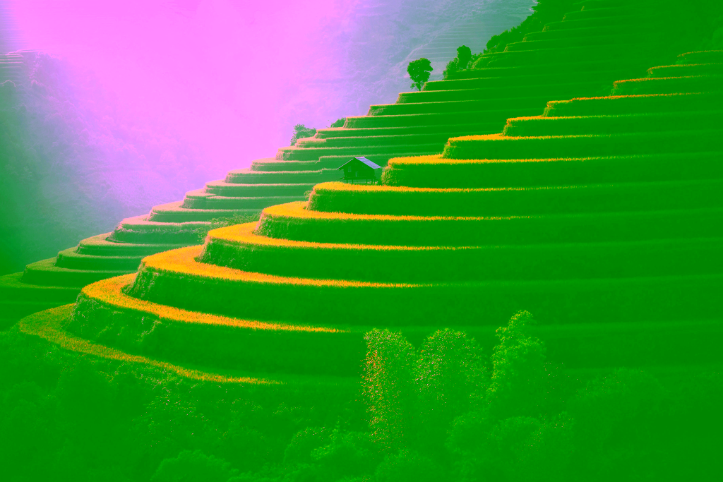 Lossless compression