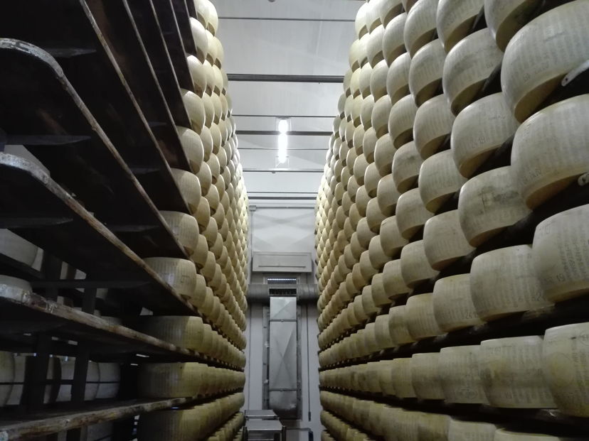 Food & Wine Tours Langhirano: Food tour: discovering Parmesan cheese