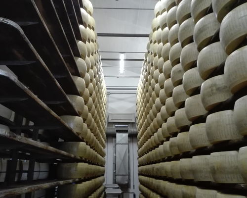 Tour enogastronomici Parma: Food tour: alla scoperta del Parmigiano Reggiano 