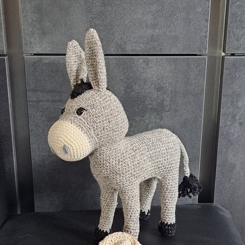 Donkey Donkey