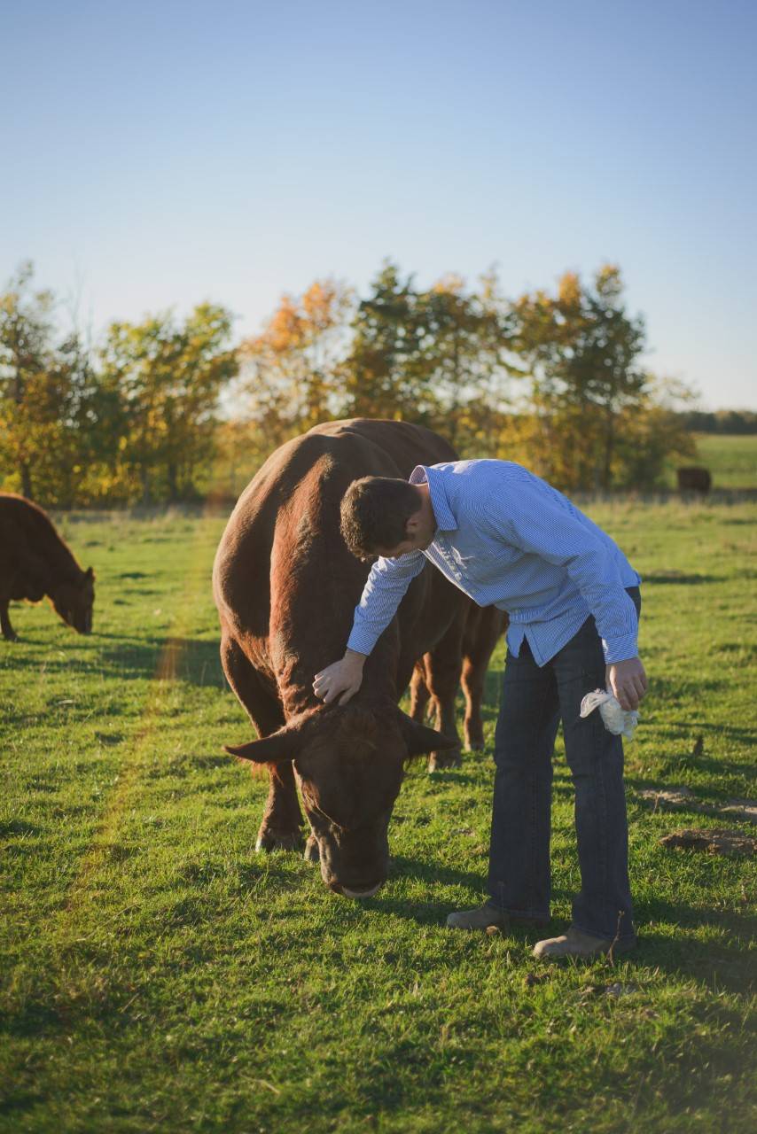 Mapletwiss Farm-Beef