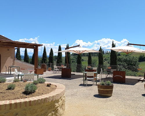 Food & Wine Tours Ulignano: San Gimignano: Winery Tour & Wine Tasting