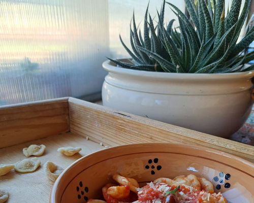 Cooking classes Putignano: Authentic Puglia flavors in a farmhouse surrounded by nature