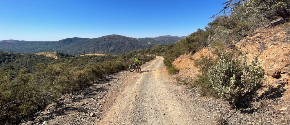 Feliciana Mountain Road is wild and scenic—the climbing makes the views worth it!