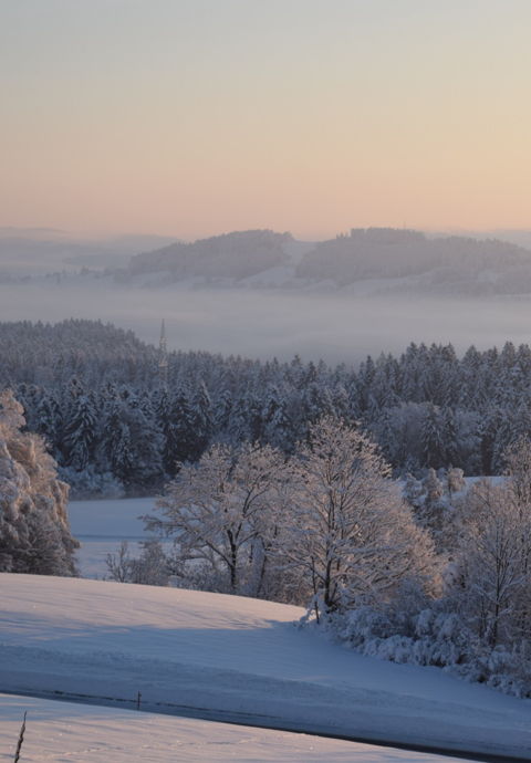 griaß di - bei d´Kathi