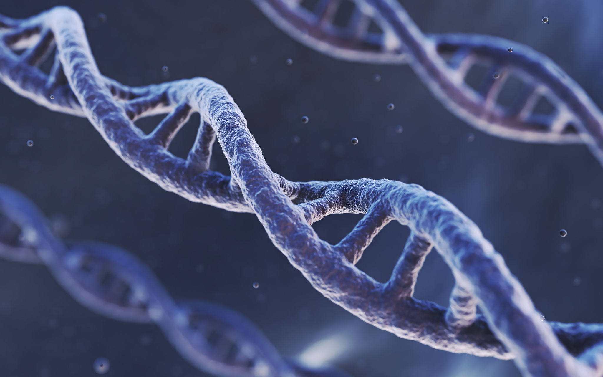 MTHFR Gene Mutation: Symptoms & Treatment -