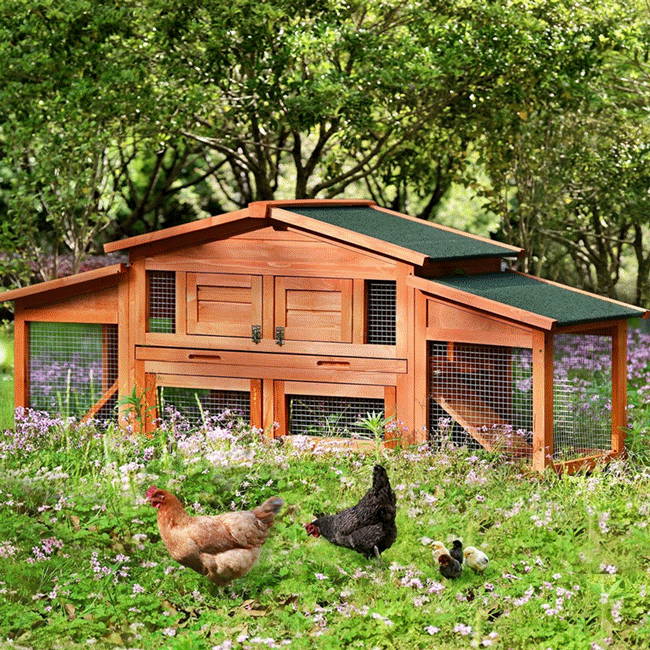 Portable Small Backyard Chicken Coop House