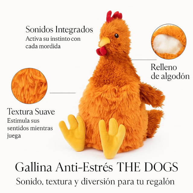 Cama de perro