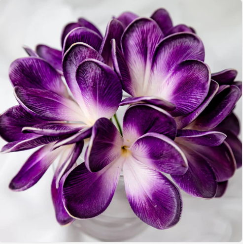 Purple Haze Frangipani Flowerhead (6 Pack) - Realistic Artificial Flowers - Image 3