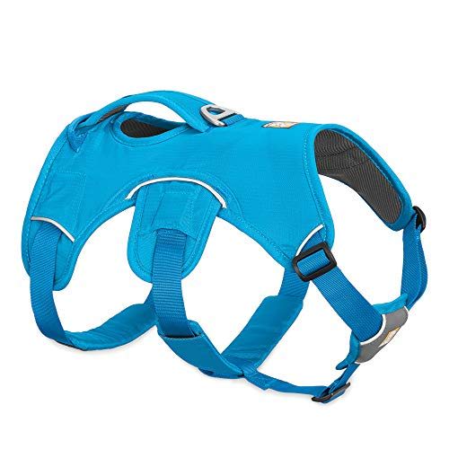 Coastal Pet Lil Pals Dog Harness vs Ruffwear Web Master Slant