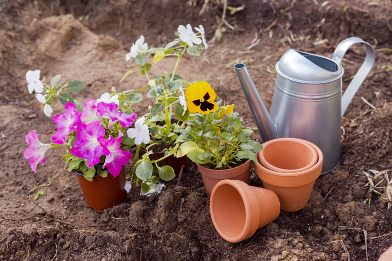 garden pots and tools