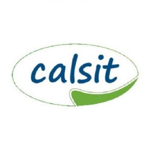 Calsit Koltuk Avatar