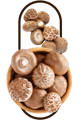 Shiitake Mushroom as part of the best cordyceps supplement