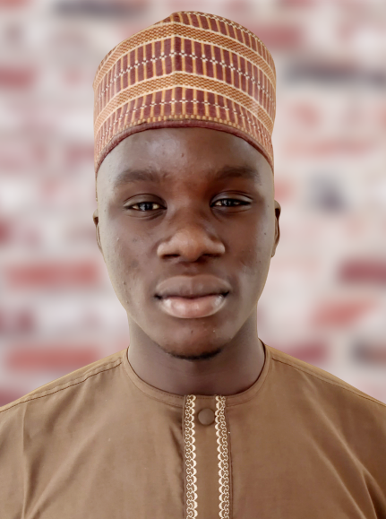 Learn Data Analysis Online with a Tutor - Abdulsamad Suleiman