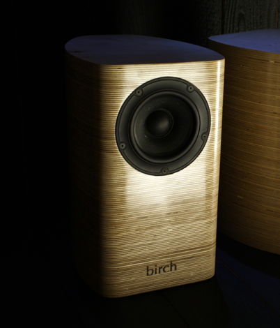 Birch Acoustics Robin  Fullrange Single Driver Speaker