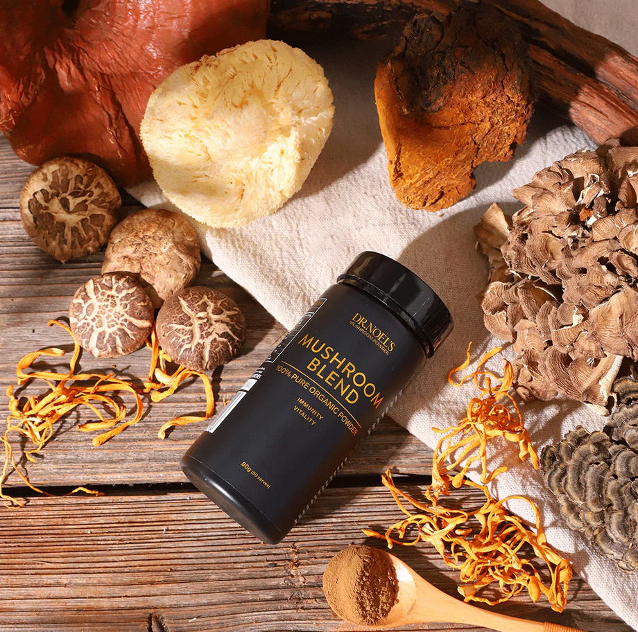 Concentrated Organic Mushroom Blend Powder - Image 2