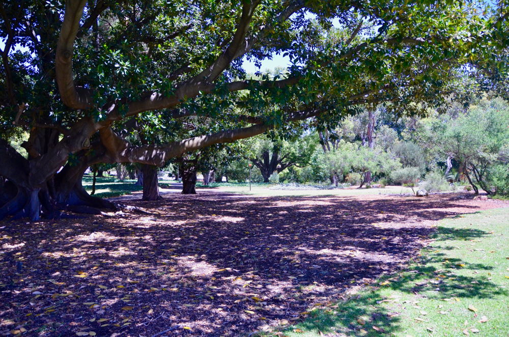 Hyde Park (HP 3)