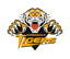 Gormandale Cricket Club logo