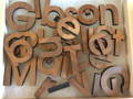 Lasercut wood letters for title of donor tree