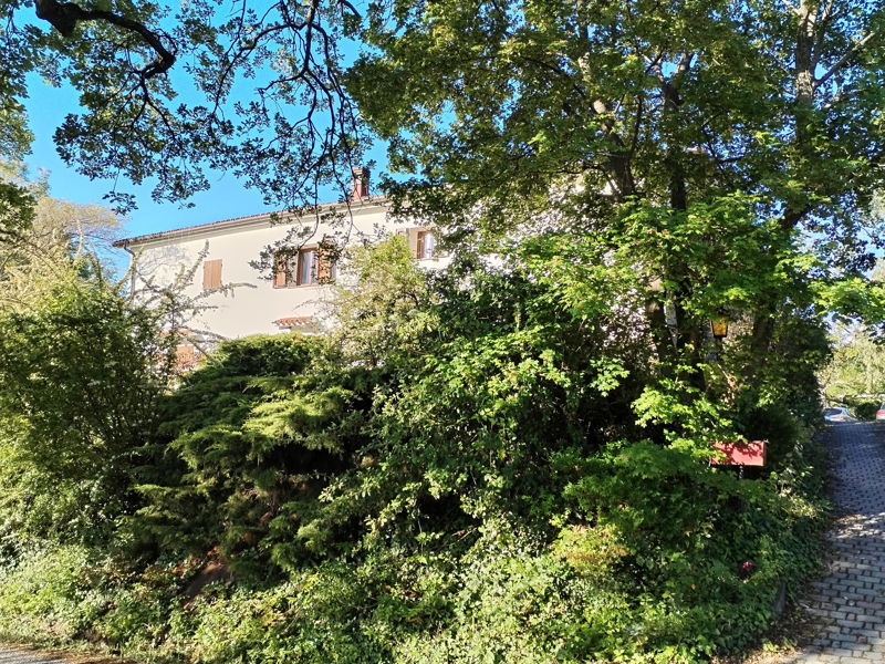 Cooking classes Saludecio: Cooking course in the Romagna hills: tradition and flavors