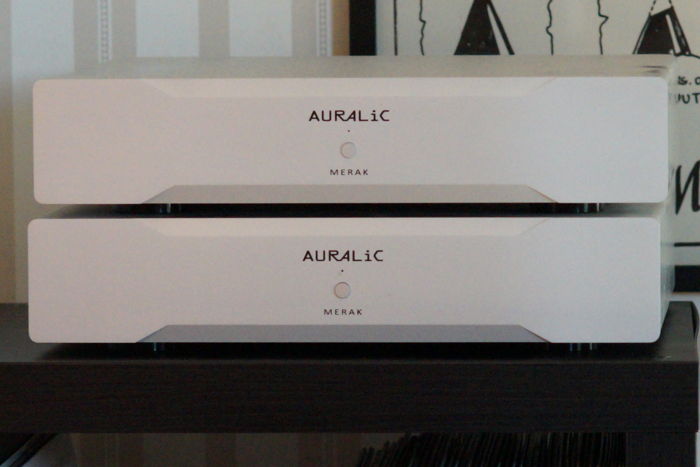 Auralic Merak Mono Amps in silver