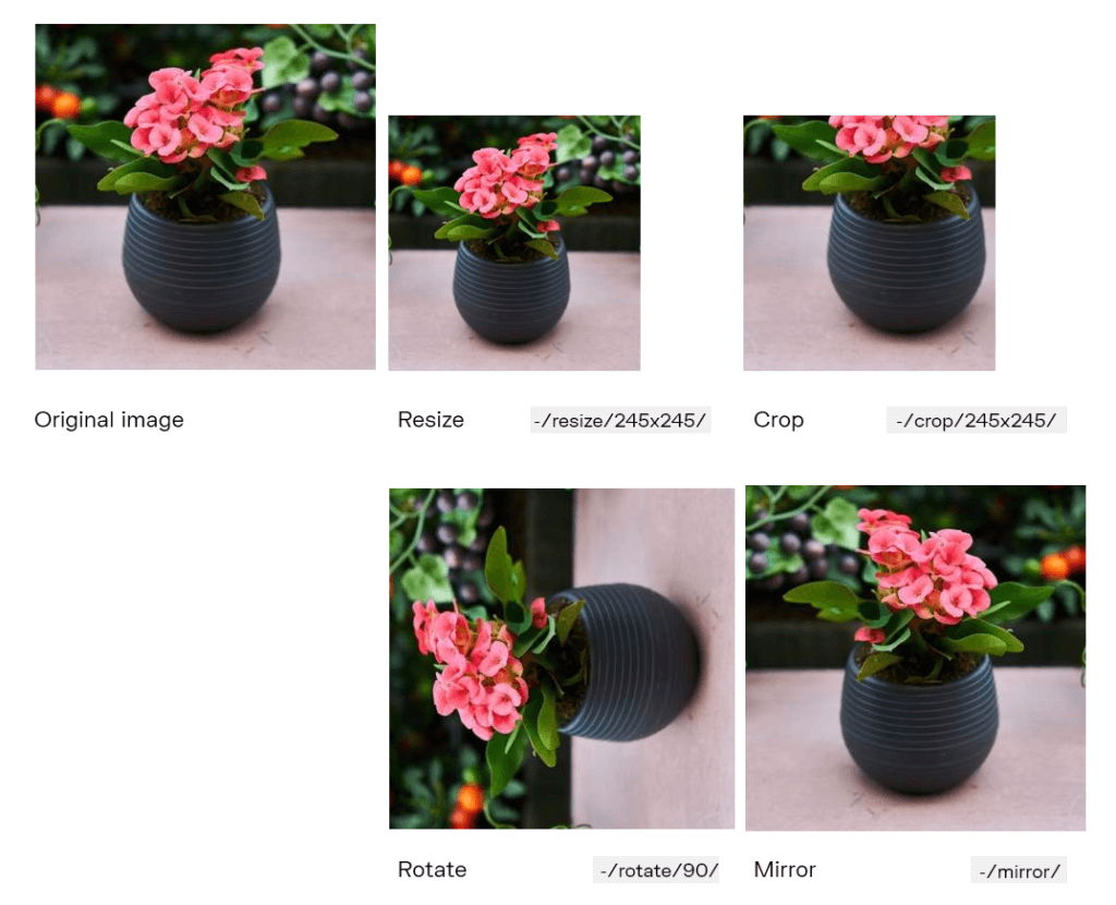 With Uploadcare, you can easily resize, rotate, or mirror images online An example of image transformation