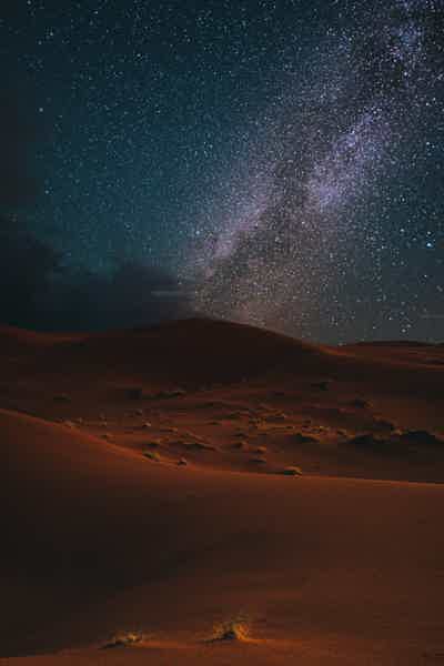 Evening safari and an unforgettable night in the desert - photo 1
