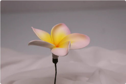 Blushing Sunrise Frangipani Real Touch (6 Pack) - Realistic Artificial Flowers - Image 2