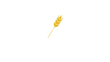 Main Content Image