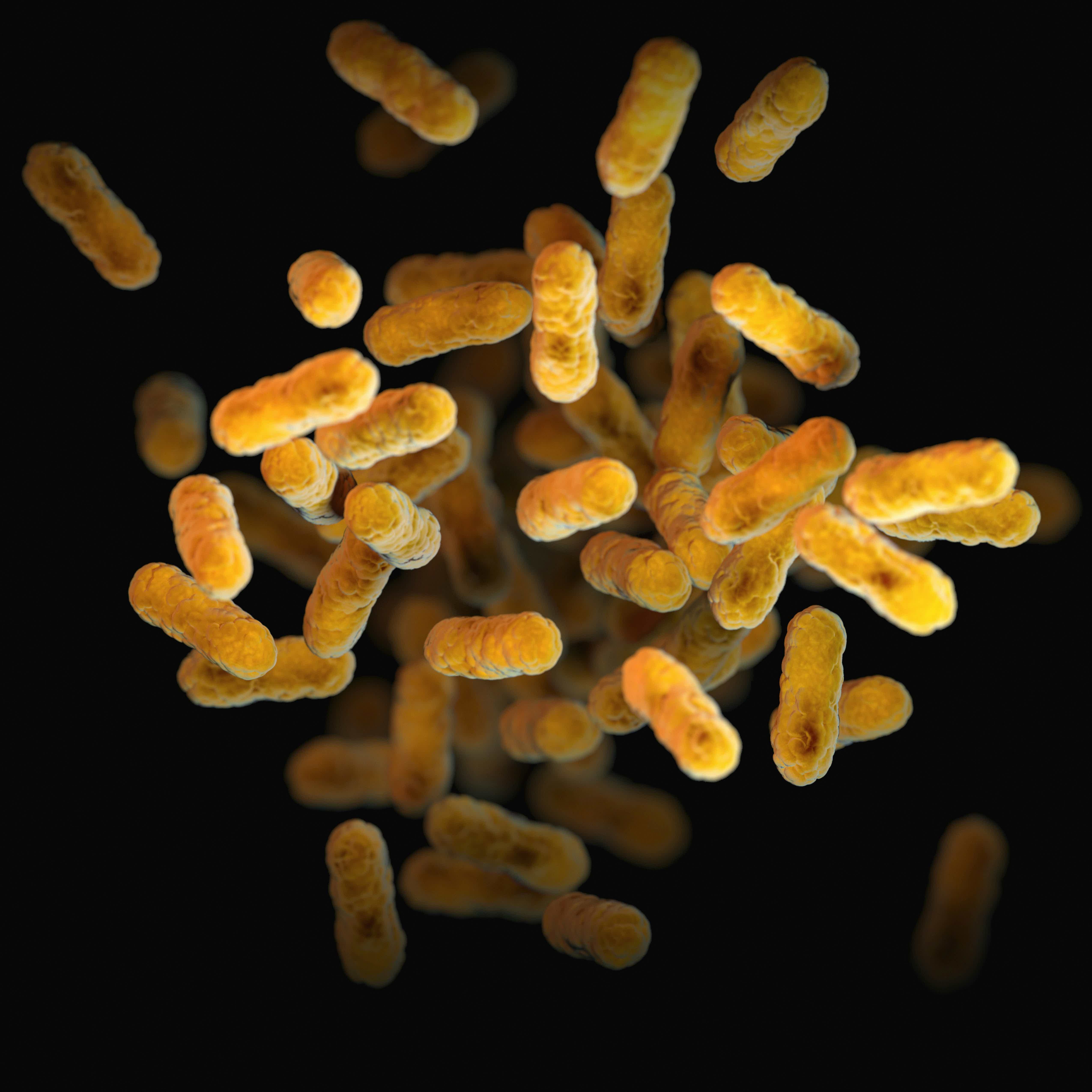 a-close-up-of-a-bunch-of-small-yellow-things-Omo_QaQChIM