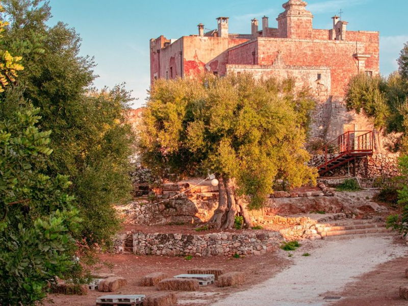 Kulinarische Touren Monopoli: Kulinarische Verkostung + 3 Weine aus Apulien